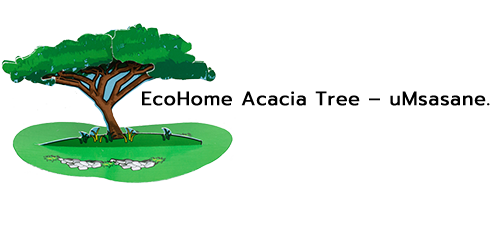Acacia Tree