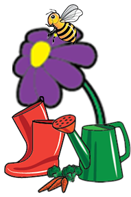 Bee on purple flower