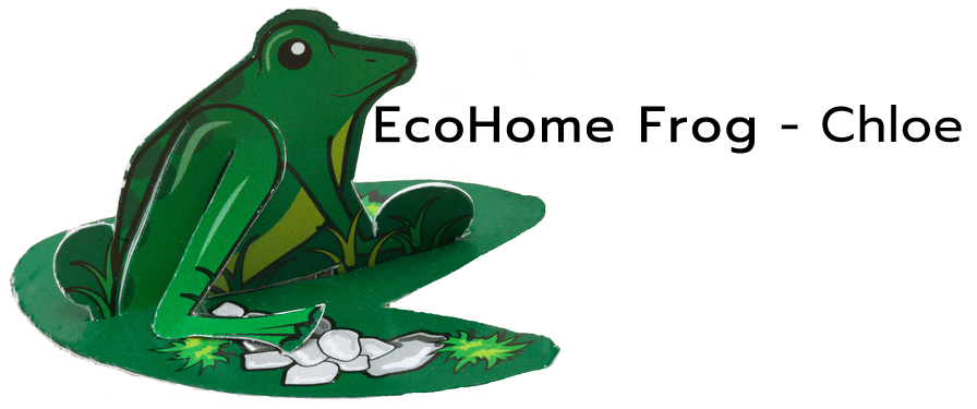 Chloe the Frog
